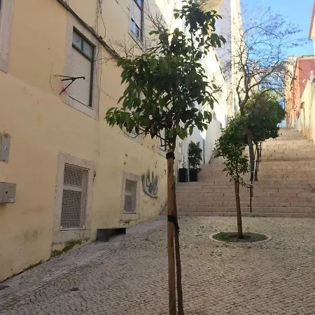 Bica Laranjeira * Lisboa